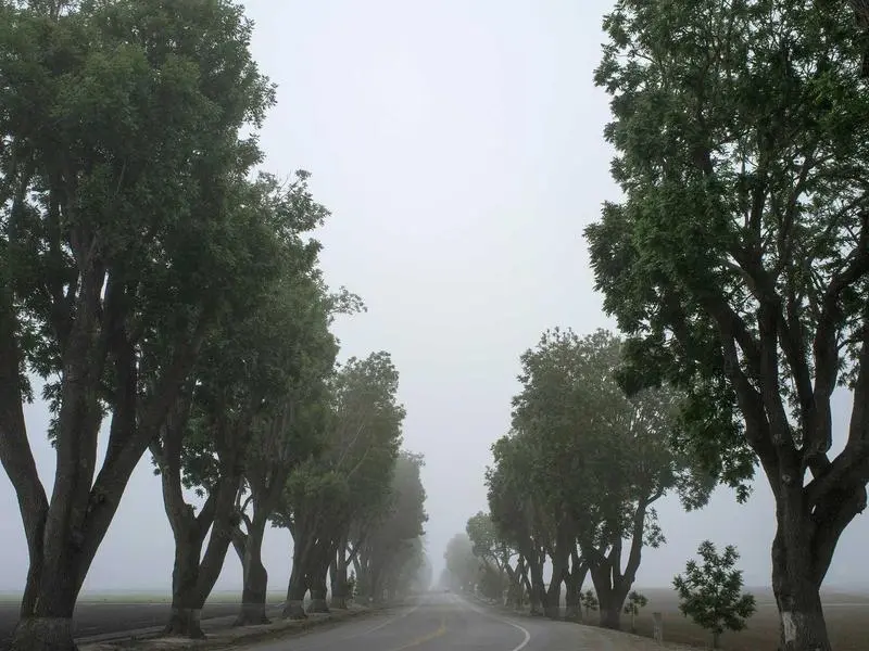 Estrada na neblina, fotografia de Dorothy Lin
